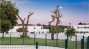 AAFADP669_22233_V0_74B3.jpg
