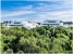 AAFADP669_22236_V0_2550.jpg