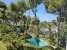 AMSACP481_15363_V0_BDA7.jpg