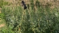 AWVADP724_25797_V0_AB61.jpg