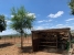 ADAAAP4084_9500_V1_9D48.jpg