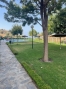 AVEABP323_8317_V0_52A4.jpg