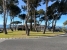 AMSACP494_15663_V0_9E99.jpg