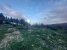 AYZABP477_11746_V0_C1B0.jpg