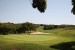 AAFADP855_31379_V0_A203.jpg