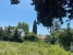 4-c23c0f86247804fa50226aecd8b0b2c8.jpg