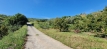 8-e64a9055bba3e77ac8aca3b893cdf826.jpg