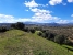 20-d1f7658cbe4ba6cd8666fec30fba80ad.jpg