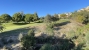 3-e898b2bb2a2fdfd06d2c39894dce8316.jpg