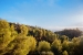 42-3aa90f523689fc5a59d5d37badfe1b6f.jpg