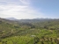 29-7c2f312881aea9bbe9ddaeb9640e2c9a.jpg