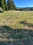 19-d0ed7da2012a09046d307c195d98e7d6.jpg